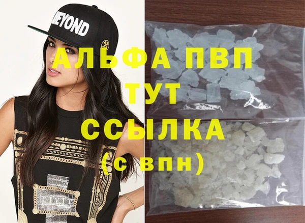 тгк Новозыбков