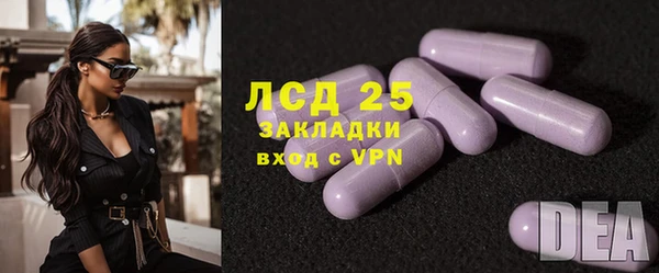 ешки Санкт-Петербург