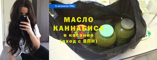 тгк Новозыбков