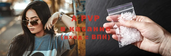 прущие грибы Видное