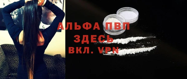 тгк Новозыбков