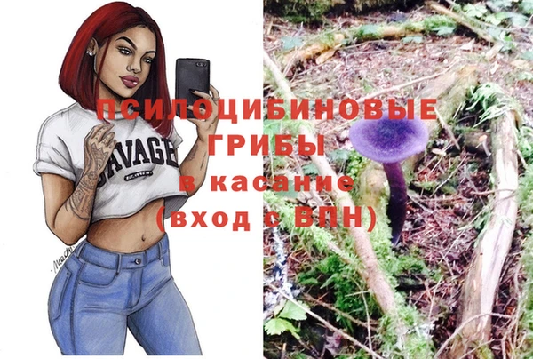 гашиш Новодвинск
