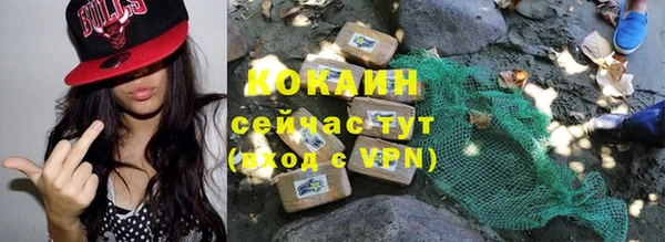 тгк Новозыбков