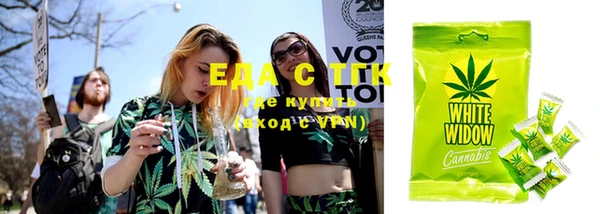 тгк Новозыбков
